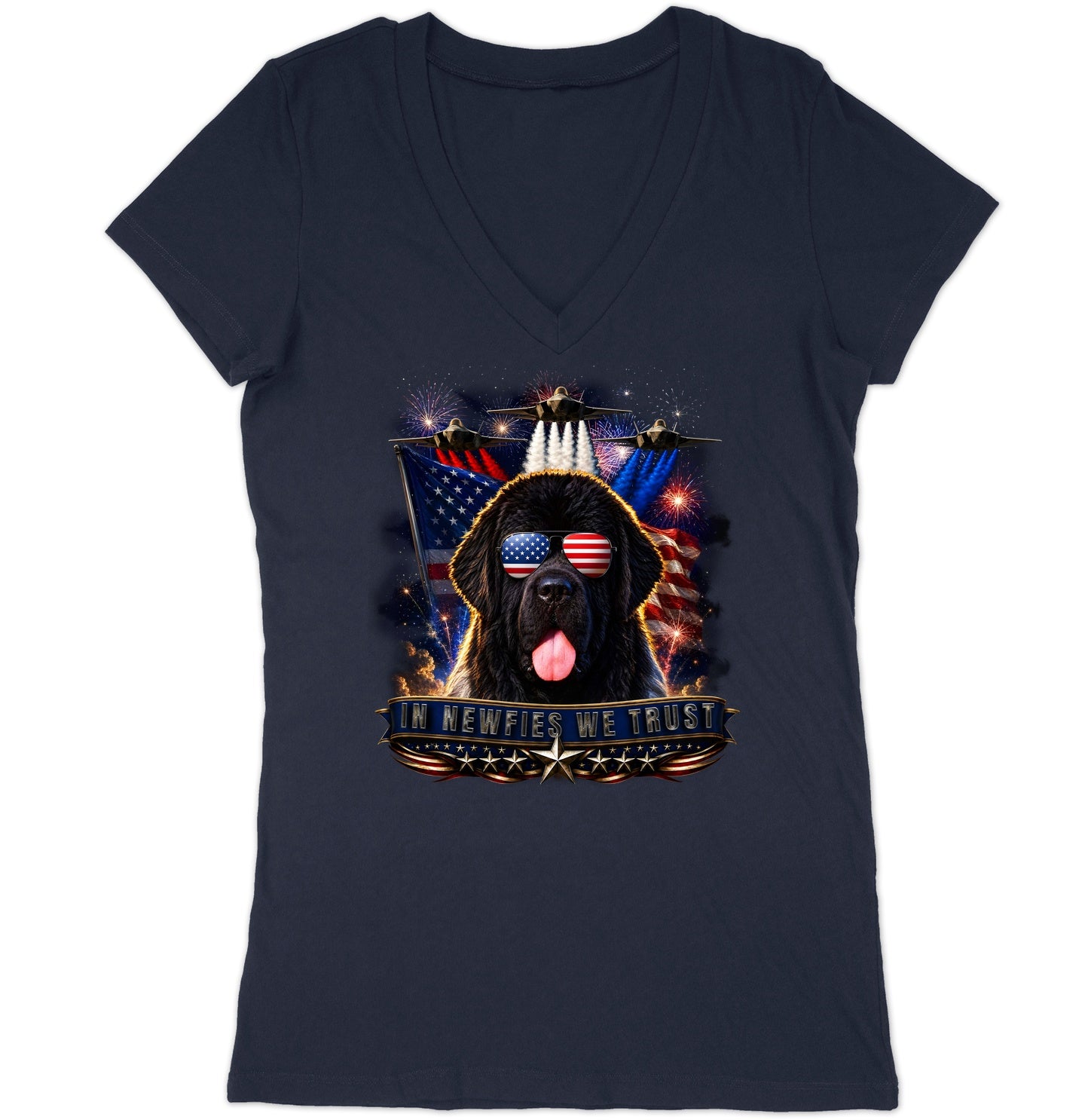 In Newfoundlands We Trust - Women's V-Neck T-Shirt