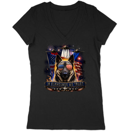 In Norwegian Elkhounds We Trust - Women's V-Neck T-Shirt