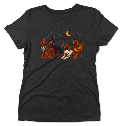 Irish Setter Halloween Lineup - Women's Tri-Blend T-Shirt