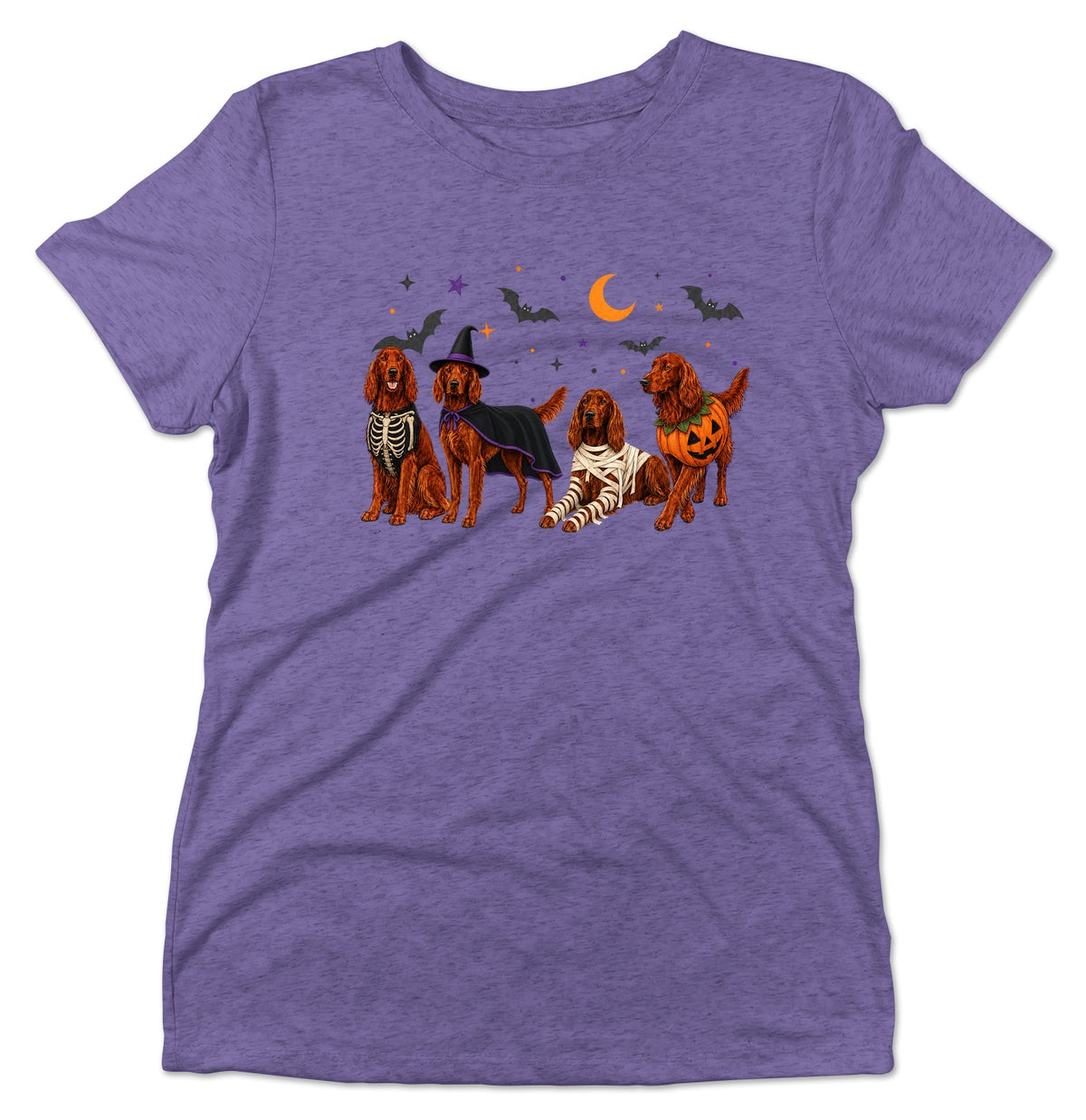 Irish Setter Halloween Lineup - Women's Tri-Blend T-Shirt