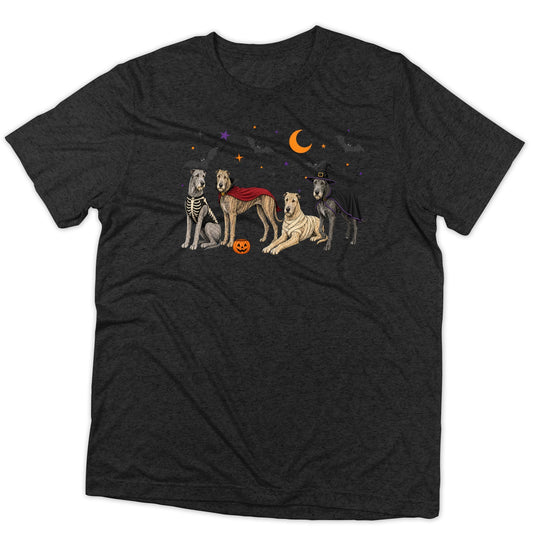 Irish Wolfhound Halloween Lineup - Adult Tri-Blend T-Shirt