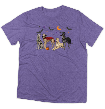 Irish Wolfhound Halloween Lineup - Adult Tri-Blend T-Shirt