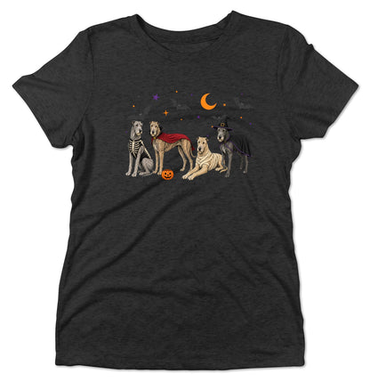 Irish Wolfhound Halloween Lineup - Women's Tri-Blend T-Shirt