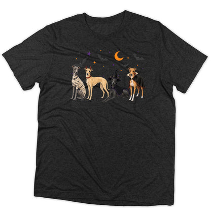 Italian Greyhound Halloween Lineup - Adult Tri-Blend T-Shirt
