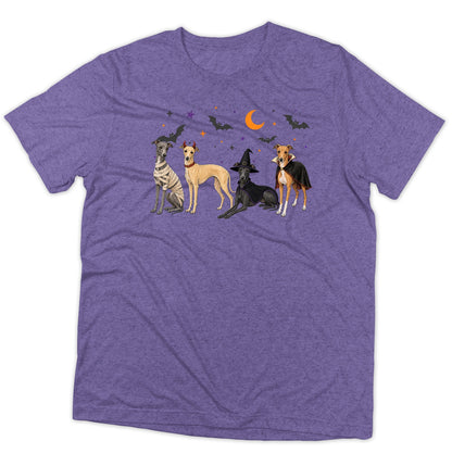 Italian Greyhound Halloween Lineup - Adult Tri-Blend T-Shirt