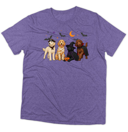 Labradoodle Halloween Lineup - Adult Tri-Blend T-Shirt