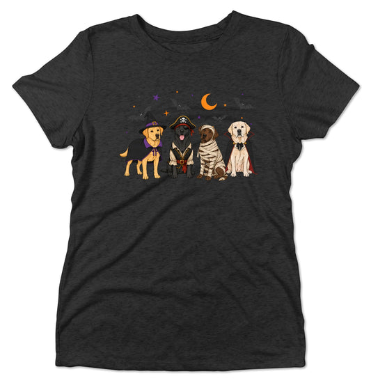 Labrador Retriever Halloween Lineup - Women's Tri-Blend T-Shirt