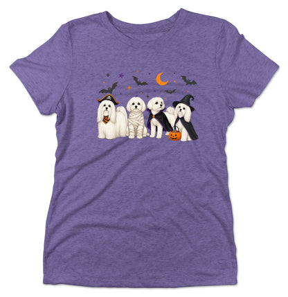 Maltese Halloween Lineup - Women's Tri-Blend T-Shirt