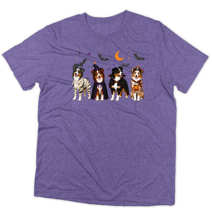 Miniature American Shepherd Halloween Lineup - Adult Tri-Blend T-Shirt