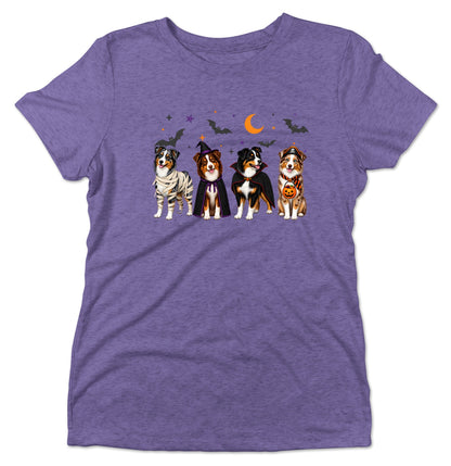 Miniature American Shepherd Halloween Lineup - Women's Tri-Blend T-Shirt