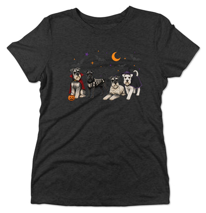 Miniature Schnauzer Halloween Lineup - Women's Tri-Blend T-Shirt