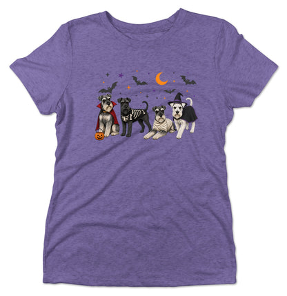 Miniature Schnauzer Halloween Lineup - Women's Tri-Blend T-Shirt