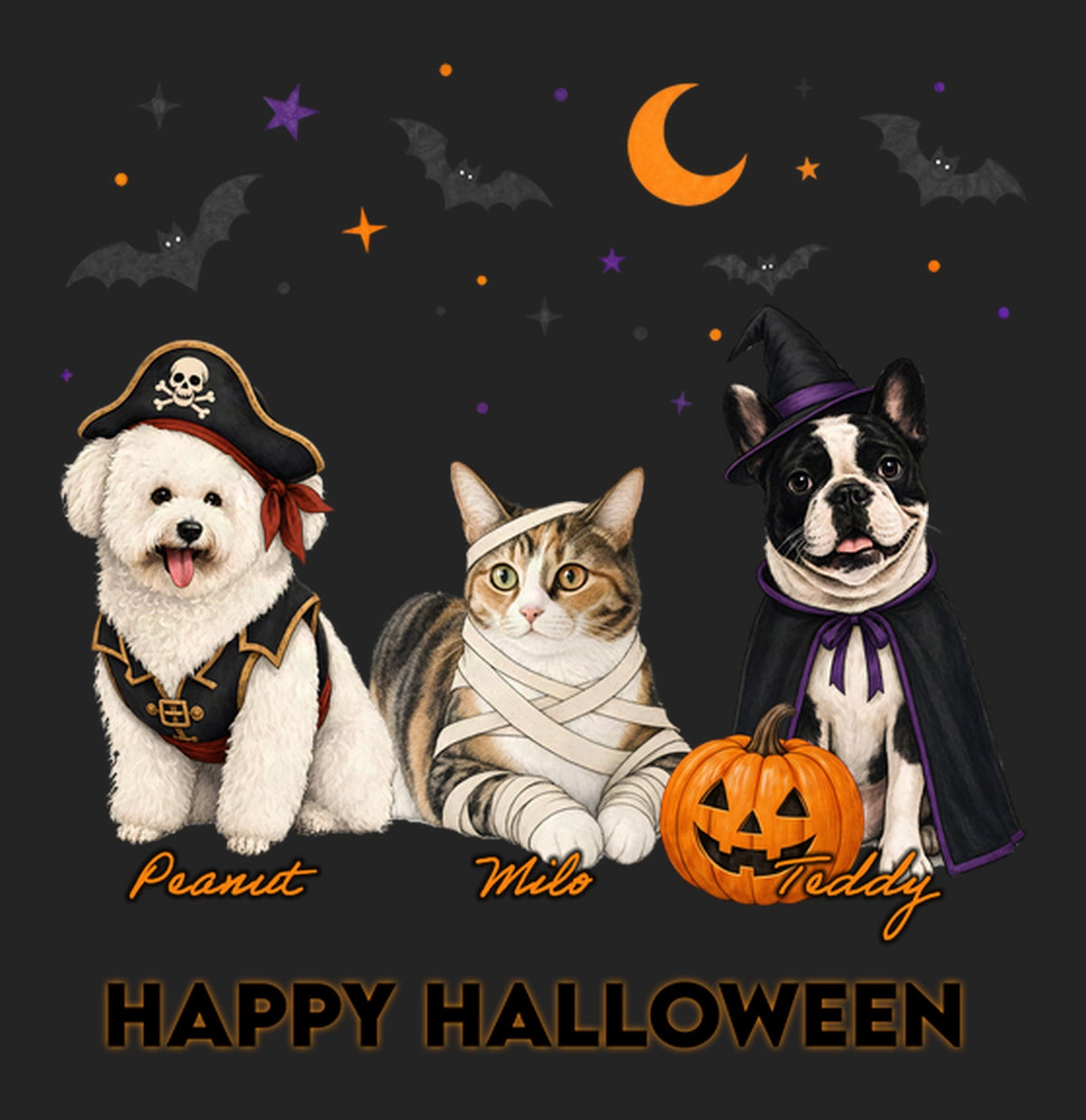 My Pets Halloween Lineup - Women's Tri-Blend T-Shirt