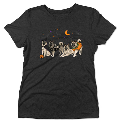 Norwegian Elkhound Halloween Lineup - Women's Tri-Blend T-Shirt