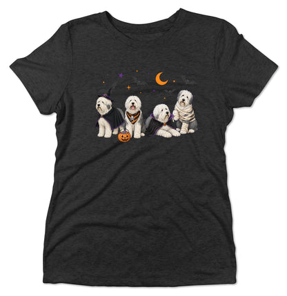 Old English Sheepdog Halloween Lineup - Women's Tri-Blend T-Shirt