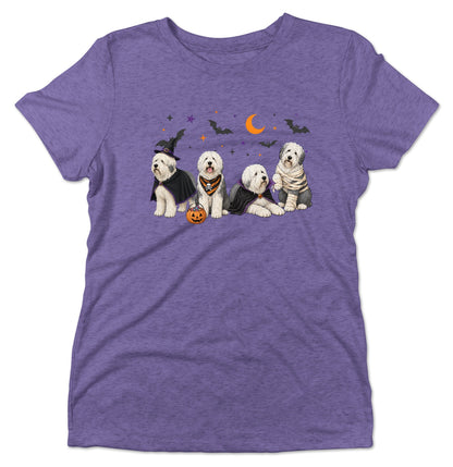 Old English Sheepdog Halloween Lineup - Women's Tri-Blend T-Shirt