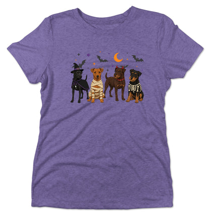 Patterdale Terrier Halloween Lineup - Women's Tri-Blend T-Shirt