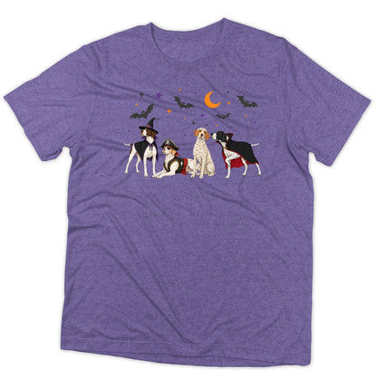 Pointer Halloween Lineup - Adult Tri-Blend T-Shirt