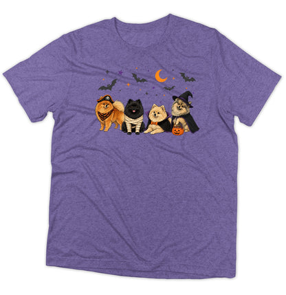 Pomeranian Halloween Lineup - Adult Tri-Blend T-Shirt