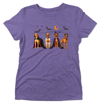 Rhodesian Ridgeback Halloween Lineup - Women's Tri-Blend T-Shirt