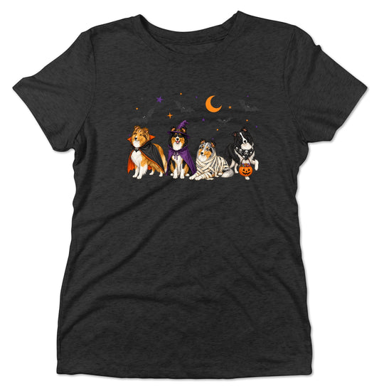 Shetland Sheepdog Halloween Lineup - Women's Tri-Blend T-Shirt