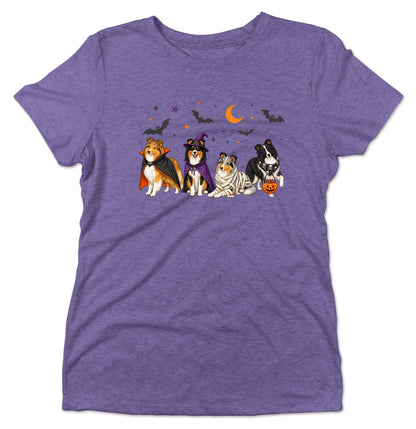 Shetland Sheepdog Halloween Lineup - Women's Tri-Blend T-Shirt