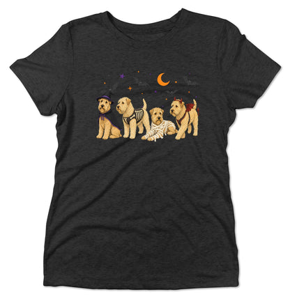 Soft Coated Wheaten Terrier Halloween Lineup - Women's Tri-Blend T-Shirt