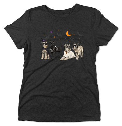Standard Schnauzer Halloween Lineup - Women's Tri-Blend T-Shirt