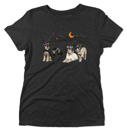 Standard Schnauzer Halloween Lineup - Women's Tri-Blend T-Shirt