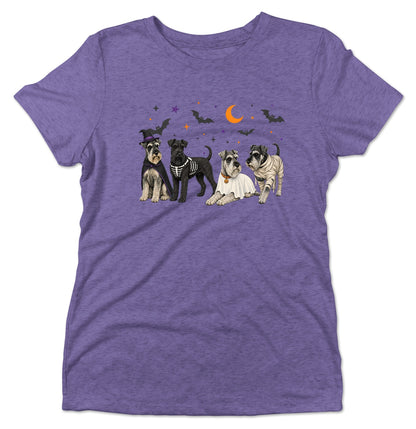 Standard Schnauzer Halloween Lineup - Women's Tri-Blend T-Shirt