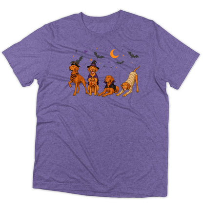 Vizsla Halloween Lineup - Adult Tri-Blend T-Shirt