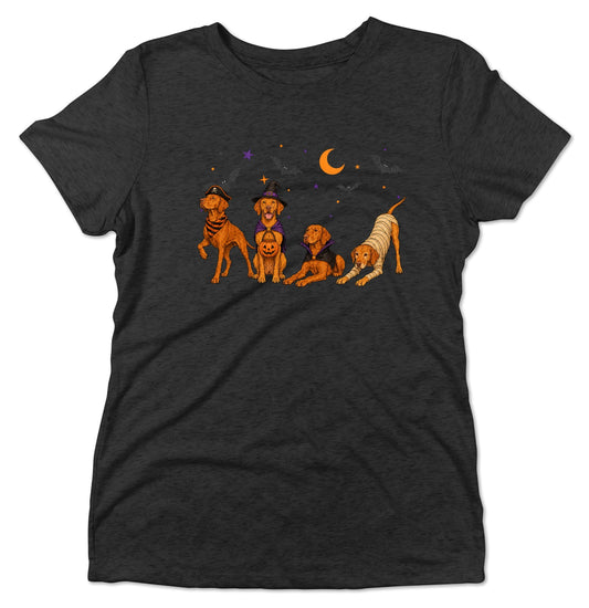 Vizsla Halloween Lineup - Women's Tri-Blend T-Shirt