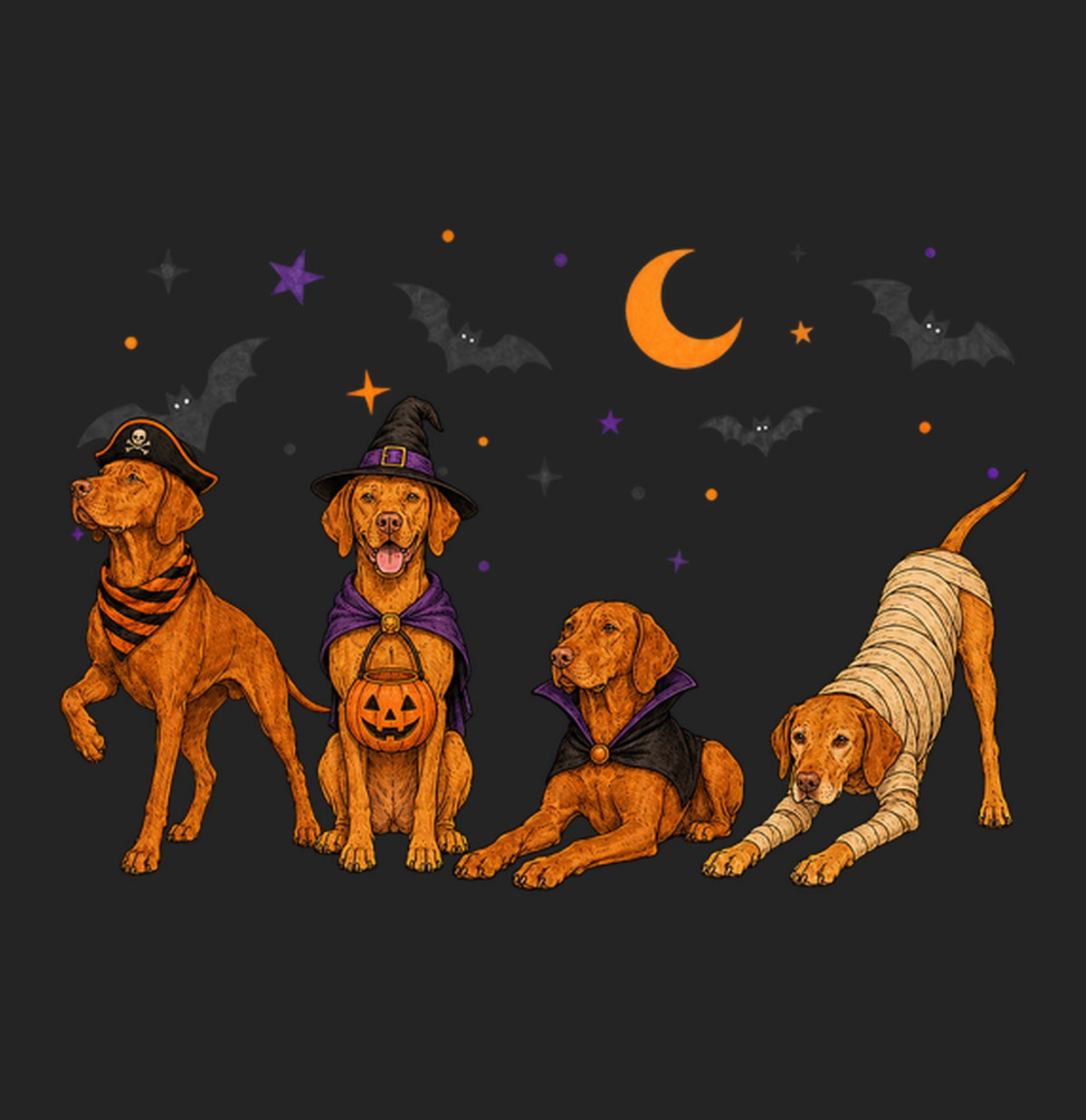 Vizsla Halloween Lineup - Women's Tri-Blend T-Shirt