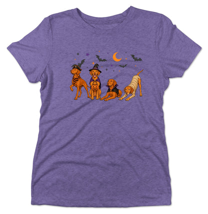 Vizsla Halloween Lineup - Women's Tri-Blend T-Shirt