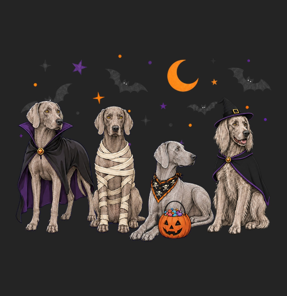 Weimaraner Halloween Lineup - Women's Tri-Blend T-Shirt