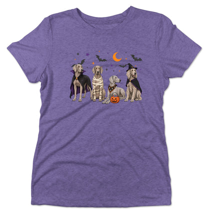Weimaraner Halloween Lineup - Women's Tri-Blend T-Shirt