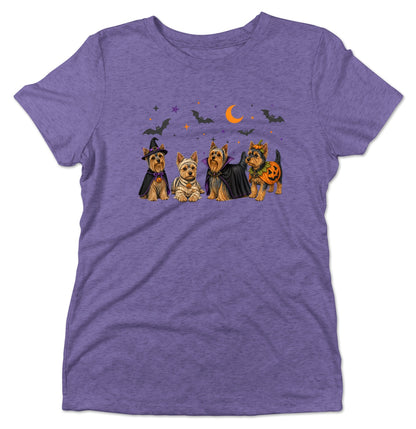 Yorkshire Terrier Halloween Lineup - Women's Tri-Blend T-Shirt