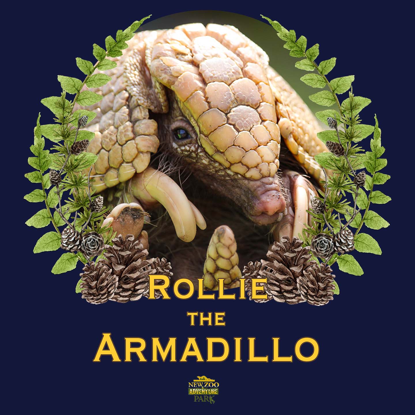 Rollie the Armadillo - Adult Unisex Hoodie Sweatshirt