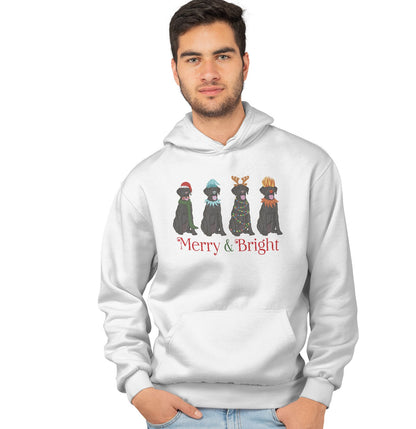 Animal Pride - Black Lab Christmas Line Up - Adult Unisex Hoodie Sweatshirt