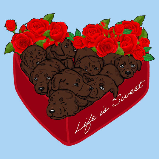 Box of Chocolate Labs - Kids' Unisex T-Shirt