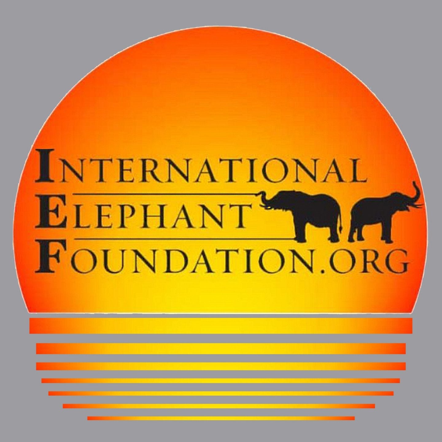 IEF Sunset Logo - Kids' Unisex T-Shirt