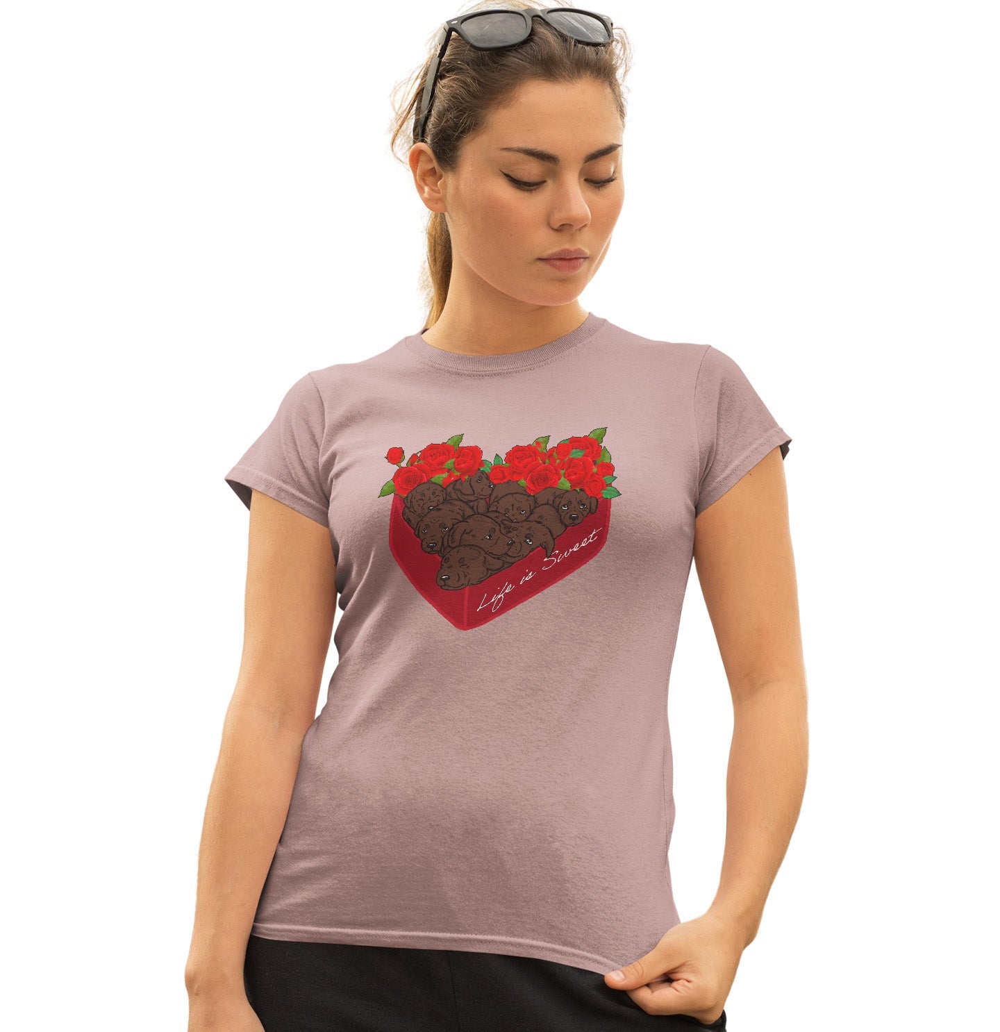 Box of Chocolate Labs - Women's Fitted T-Shirt