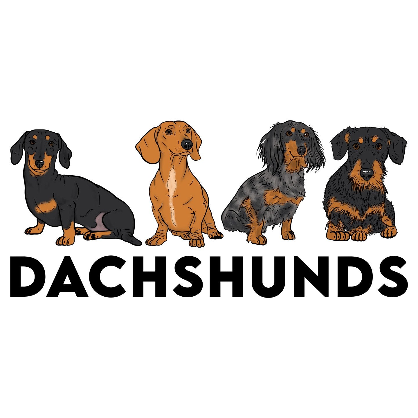 Dachshunds - Women's V-Neck T-Shirt