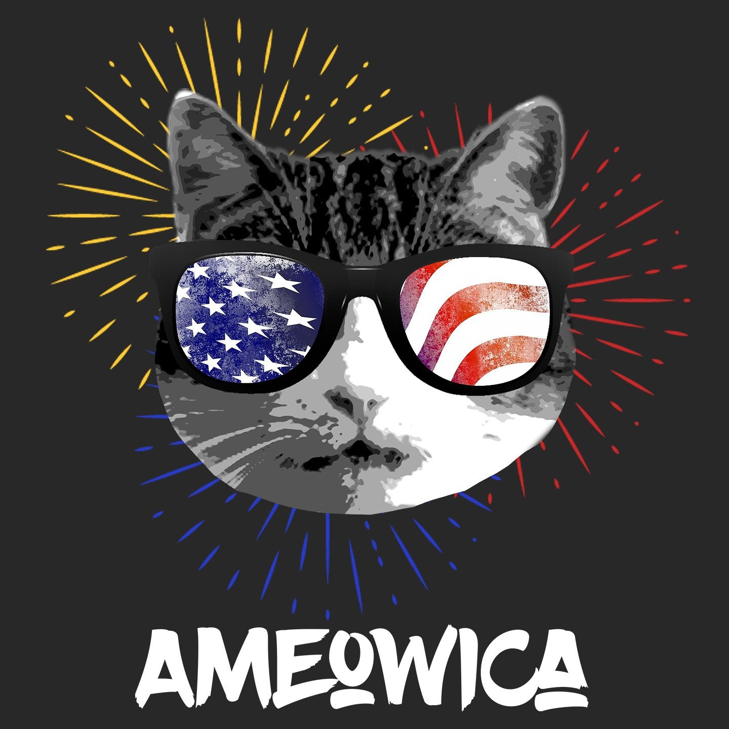 Ameowica - Women's Tri-Blend T-Shirt