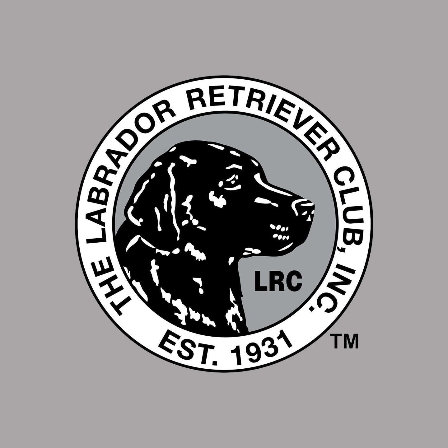 LRC Left Chest Black & White Logo - Women's V-Neck T-Shirt
