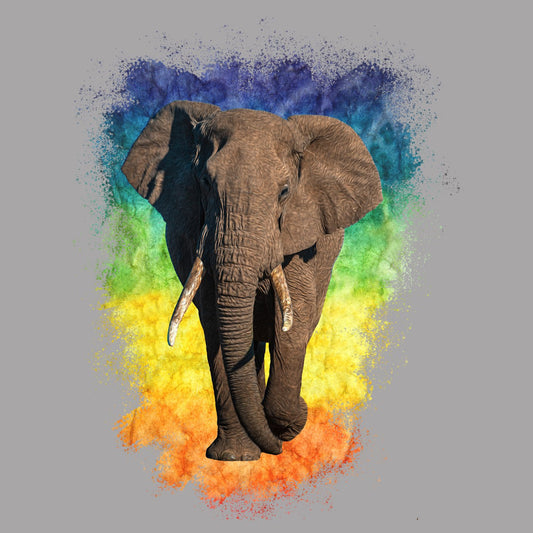 Elephant Rainbow - Women's V-Neck Long Sleeve T-Shirt