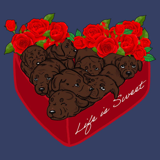 Box of Chocolate Labs - Adult Unisex Crewneck Sweatshirt