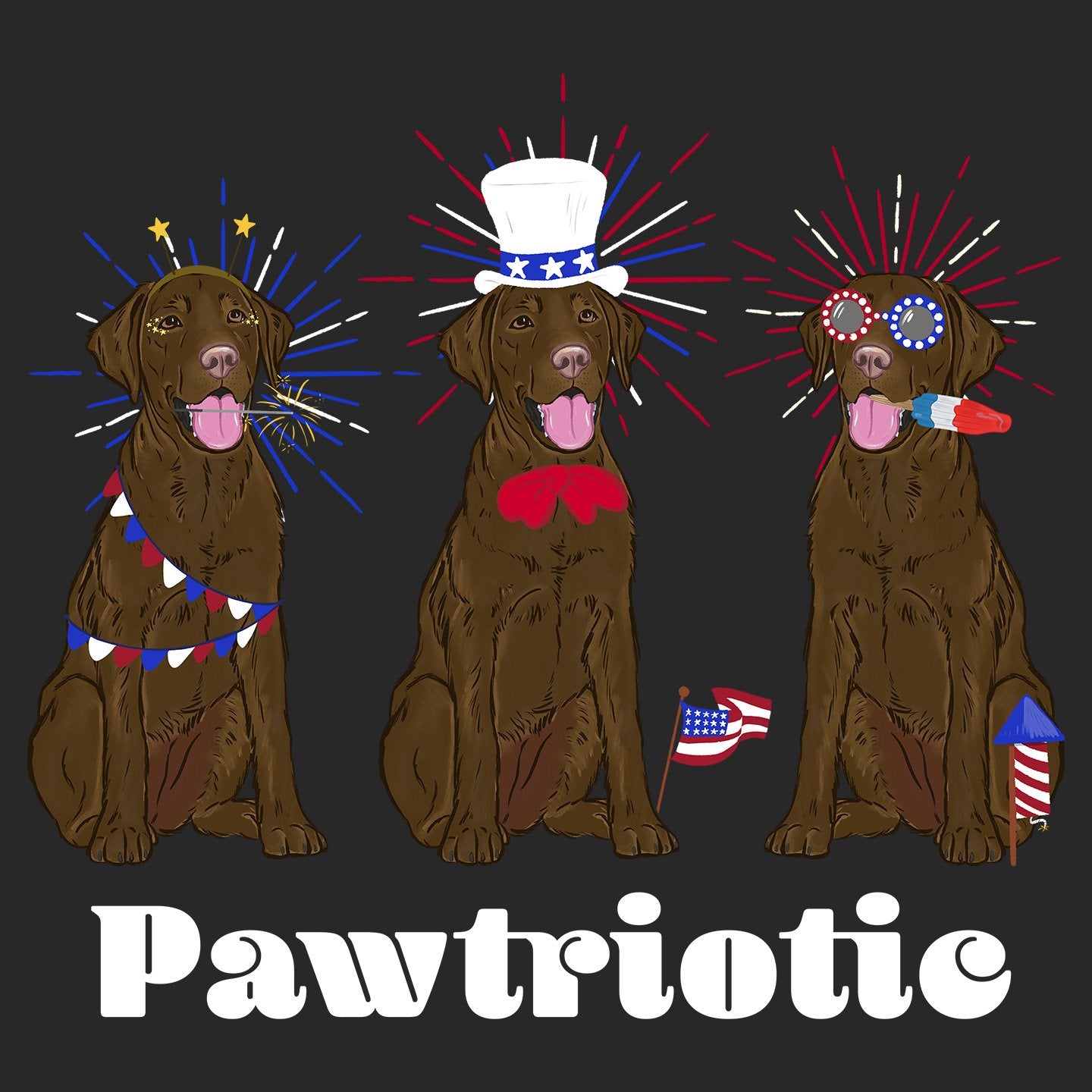 4th of July Lineup Chocolate Lab - Adult Unisex Hoodie Sweatshirt