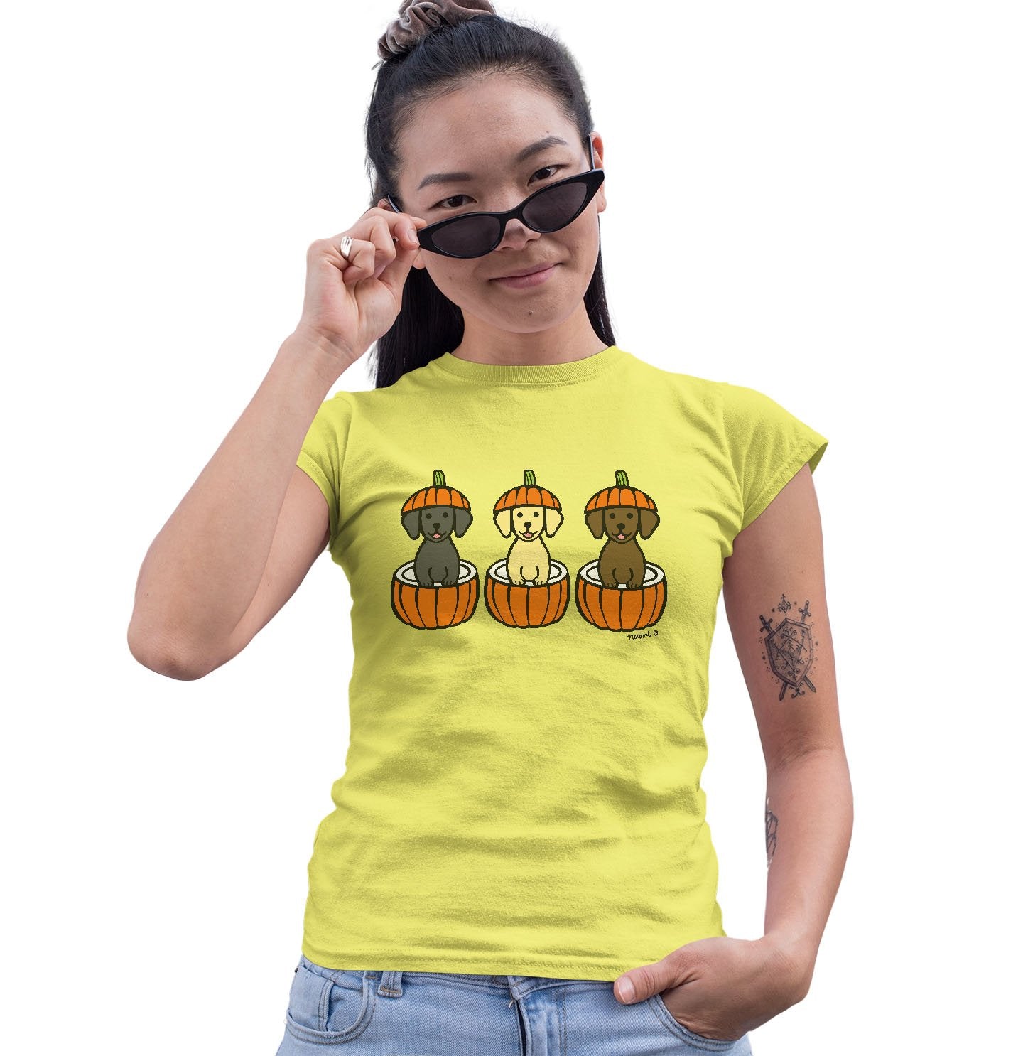 3 Pumpkin Lab Pups - Women's Fitted T-Shirt