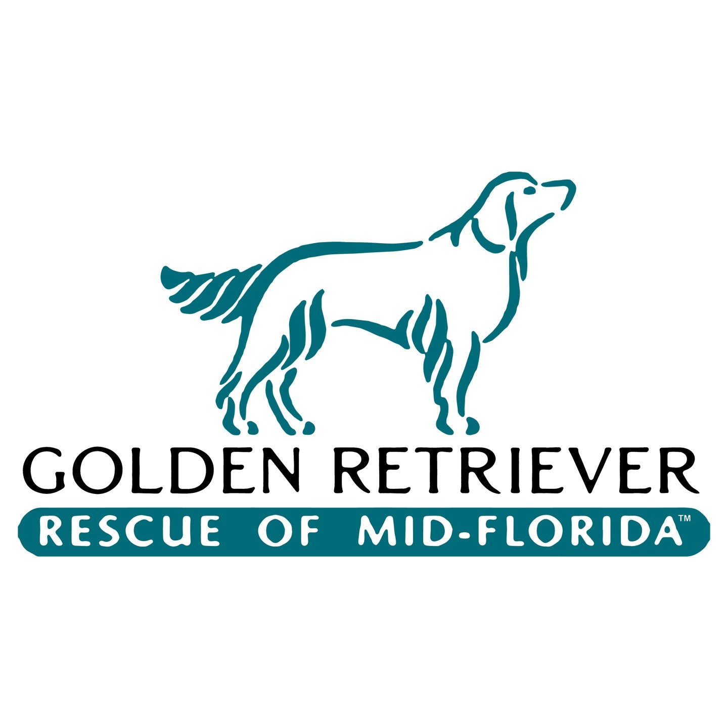 Golden Retriever Rescue of Mid-Florida Logo - Women's V-Neck Long Sleeve T-Shirt